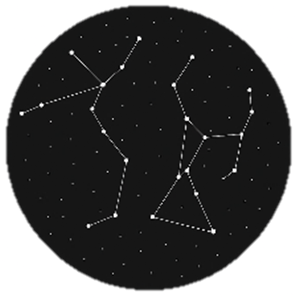 constellationmanagement.ae